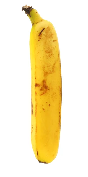 Banane droite sur blanc — Photo