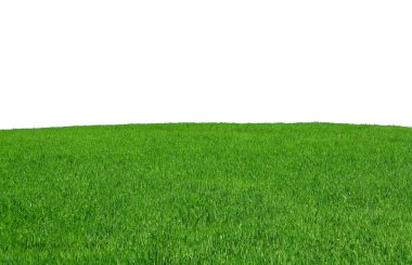 Isolated grass field clipart