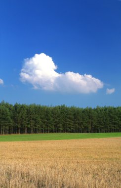 Rye field and trees clipart