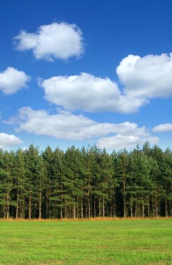 Tree line with cumulus clouds clipart