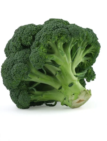 Beyaz zemin üzerine iştah açıcı brokoli — Stok fotoğraf