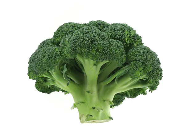 Broccoli su fondo bianco puro — Foto Stock