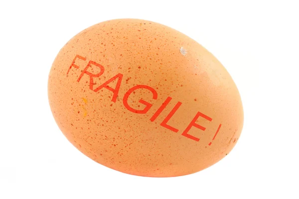 Fragile free-range egg — Stock Photo, Image