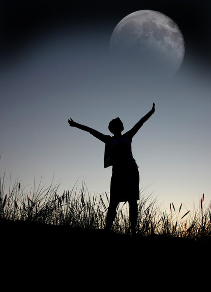 Полет на Луну
