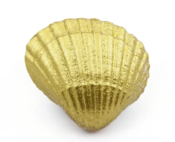 Concha marina dorada — Foto de Stock