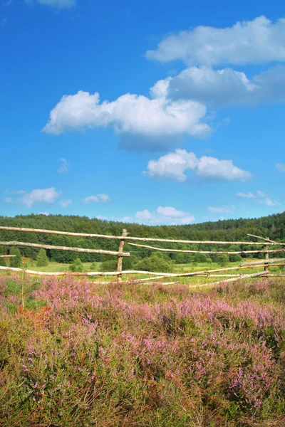 Vue campagne estivale avec une clôture de ferme — Photo
