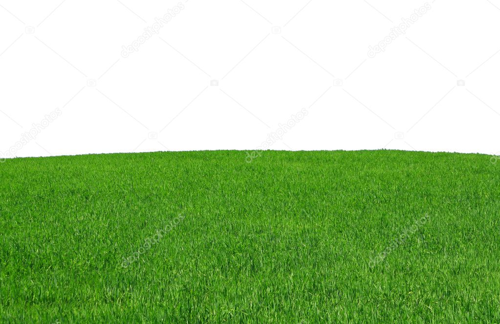 Isolated grass field