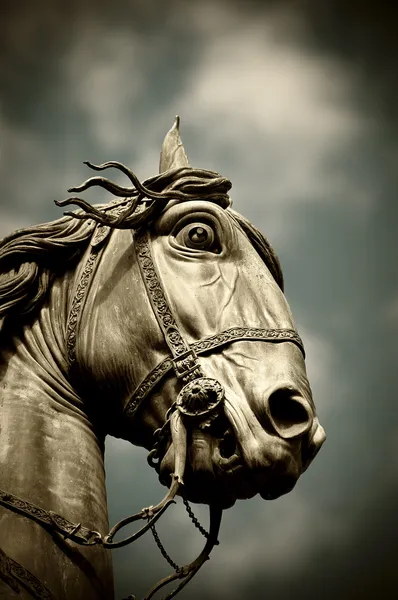 Statua cavallo — Foto Stock
