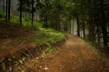 Forest path leading up to the mountain clipart