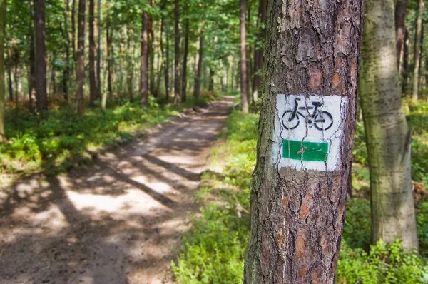 Велосипедная дорожка, ведущая через лес — стоковое фото