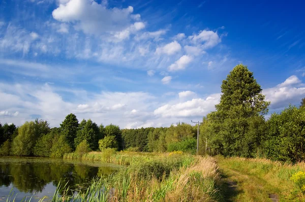 Cielo azul sobre el lago y los árboles — Foto de Stock