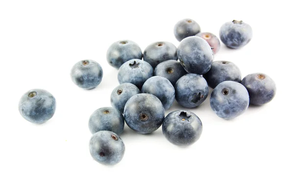 stock image Blueberries on white background