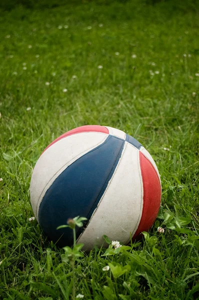 stock image Old basket ball on the grass