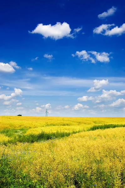Colorful countryside landscape — Stock Photo, Image