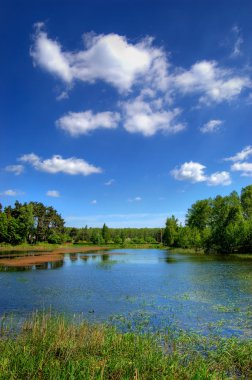 Beautiful lake in the countryside clipart