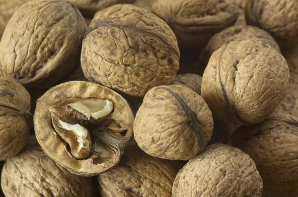 stock image Walnut background