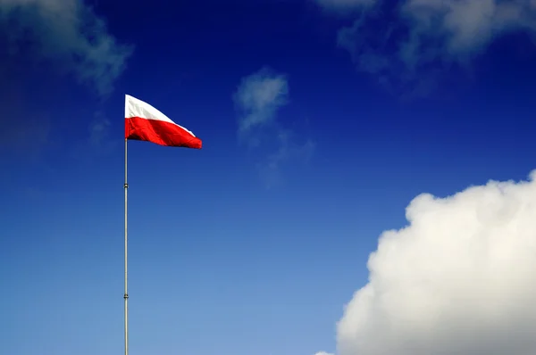 Polský Vlajka na modrém pozadí Royalty Free Stock Fotografie