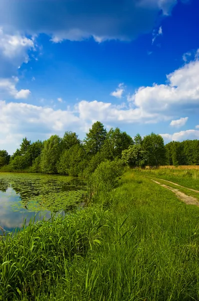 시골에 아름 다운 호수 — 스톡 사진