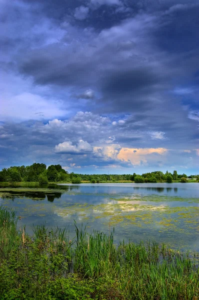 Kırsal güzel göl — Stok fotoğraf