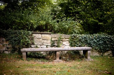 Old Bench with wall and ivy clipart