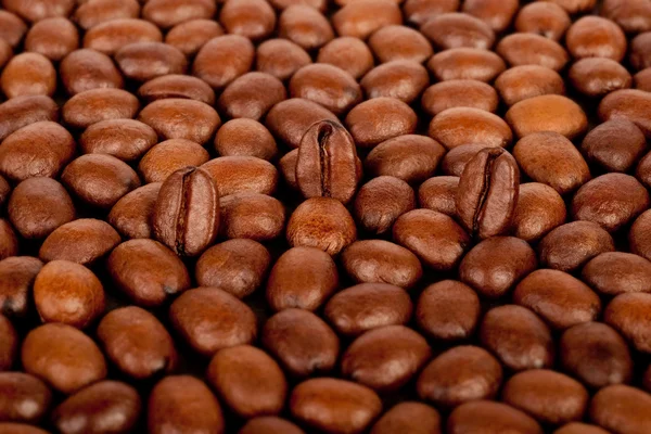 Trois grains de café — Photo