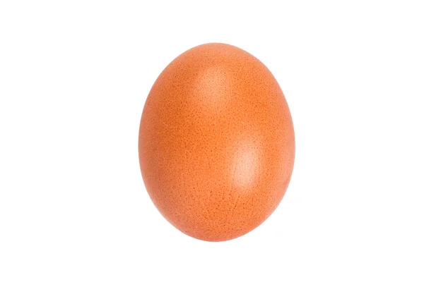 stock image Close-up of an egg