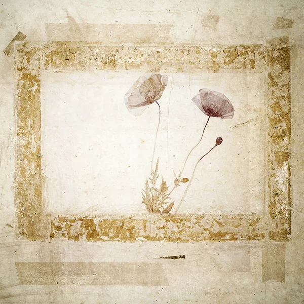 Grunge 背景与罂粟花朵 — 图库照片