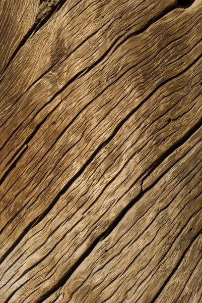 Struttura del legno — Foto Stock