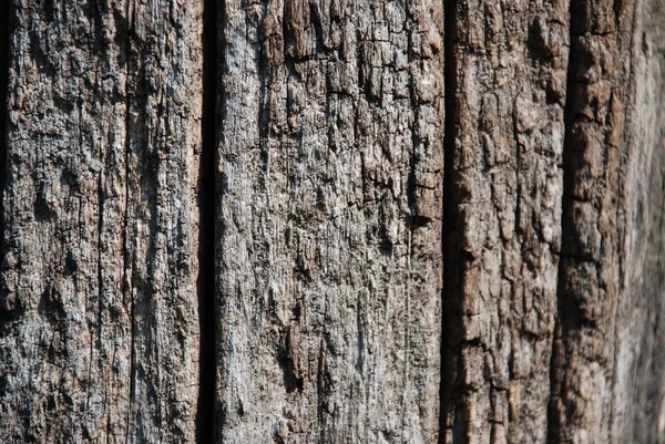 茶色の木の質感 — ストック写真
