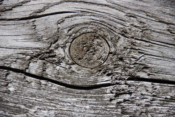 Коричневий texture3 деревини — стокове фото