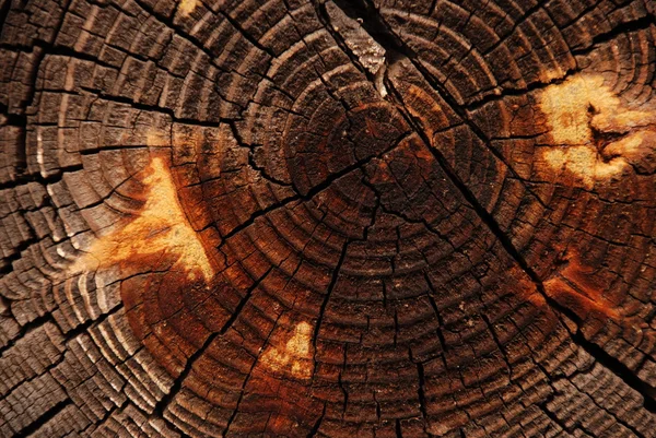 Holz Textur mit natürlichen — Stockfoto
