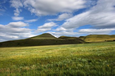 Step landscape, Siberia, Russia clipart