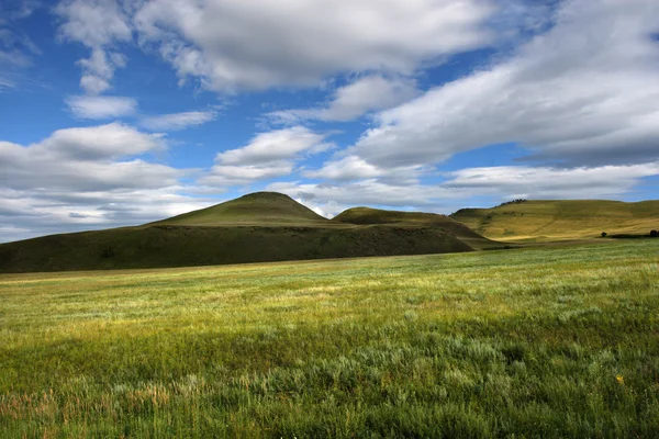 stock image Step landscape, Siberia, Russia