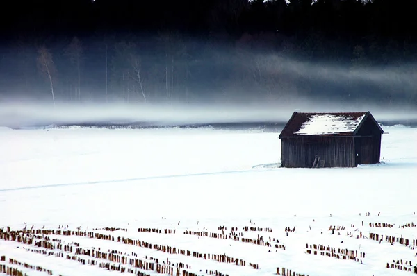 stock image Mist at the boarder of a wood