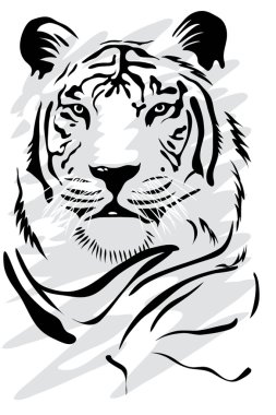 Картина, постер, плакат, фотообои "белый тигр
", артикул 2275069