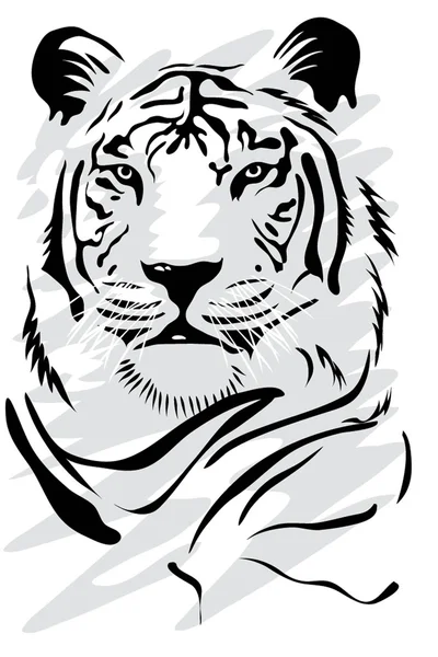 Tigre blanc — Image vectorielle