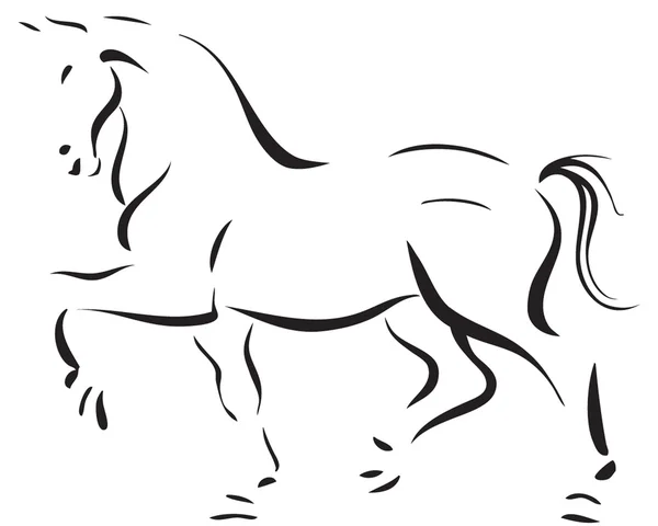 美しい種牡馬 — ストックベクタ