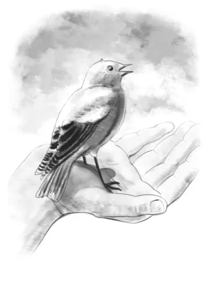 stock image Bird on a hand