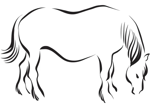 Häst 7 — Stock vektor
