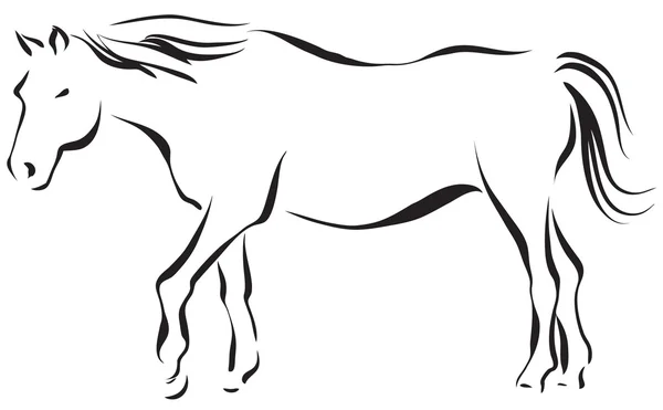 Koně 5 — Stockový vektor