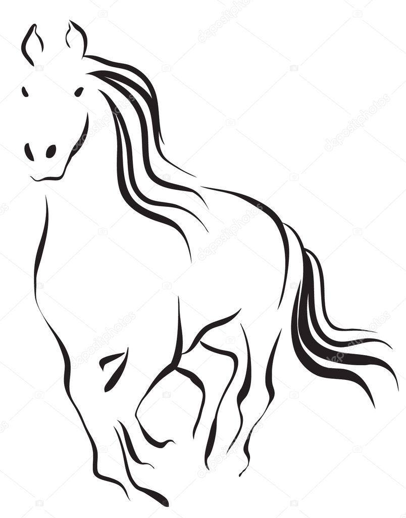 Horse 13 — Stock Vector © tajim1 #2442566