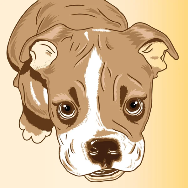 Bulldog cucciolo — Vettoriale Stock