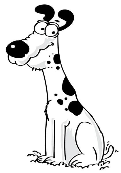 Dalmatský pes — Stock fotografie zdarma