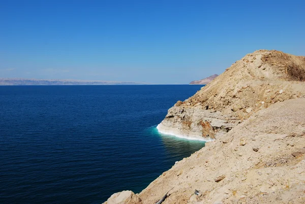 stock image The Dead Sea shore