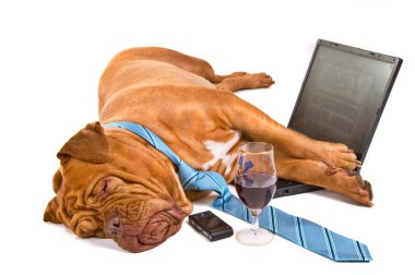 Hardworker Fell Asleep clipart