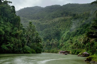 Tropical jungle river clipart