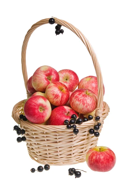 Červená astrachánový jablka a hrozny — Stock fotografie