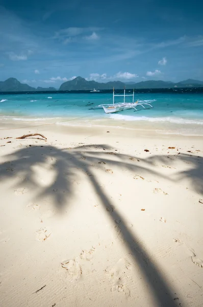 Shadow of a palm — Stock Photo, Image