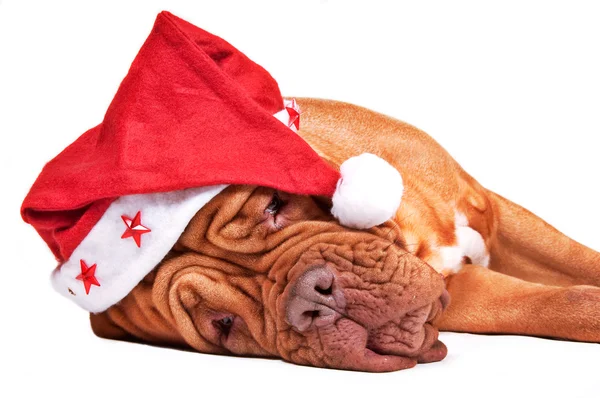 Is Santa tired? — Stock Photo, Image