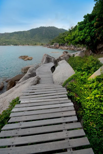 Wooden footpath — Stock Photo, Image